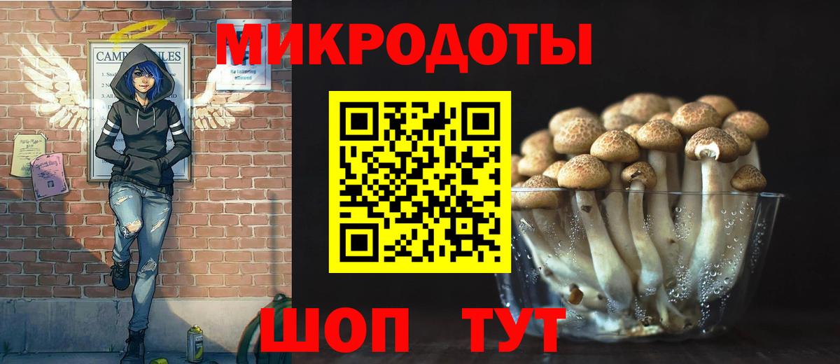 Ейск  Галлюциногенные грибы Psilocybe  Вход с VPN 