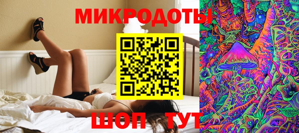 Псилоцибиновые грибы Psilocybe Ейск
